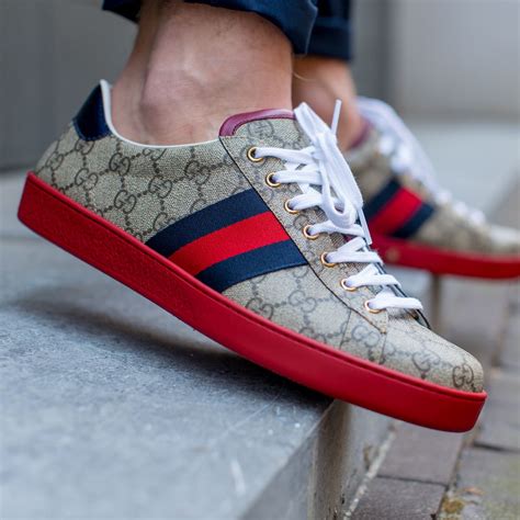 new arrivals Gucci ace Gucci